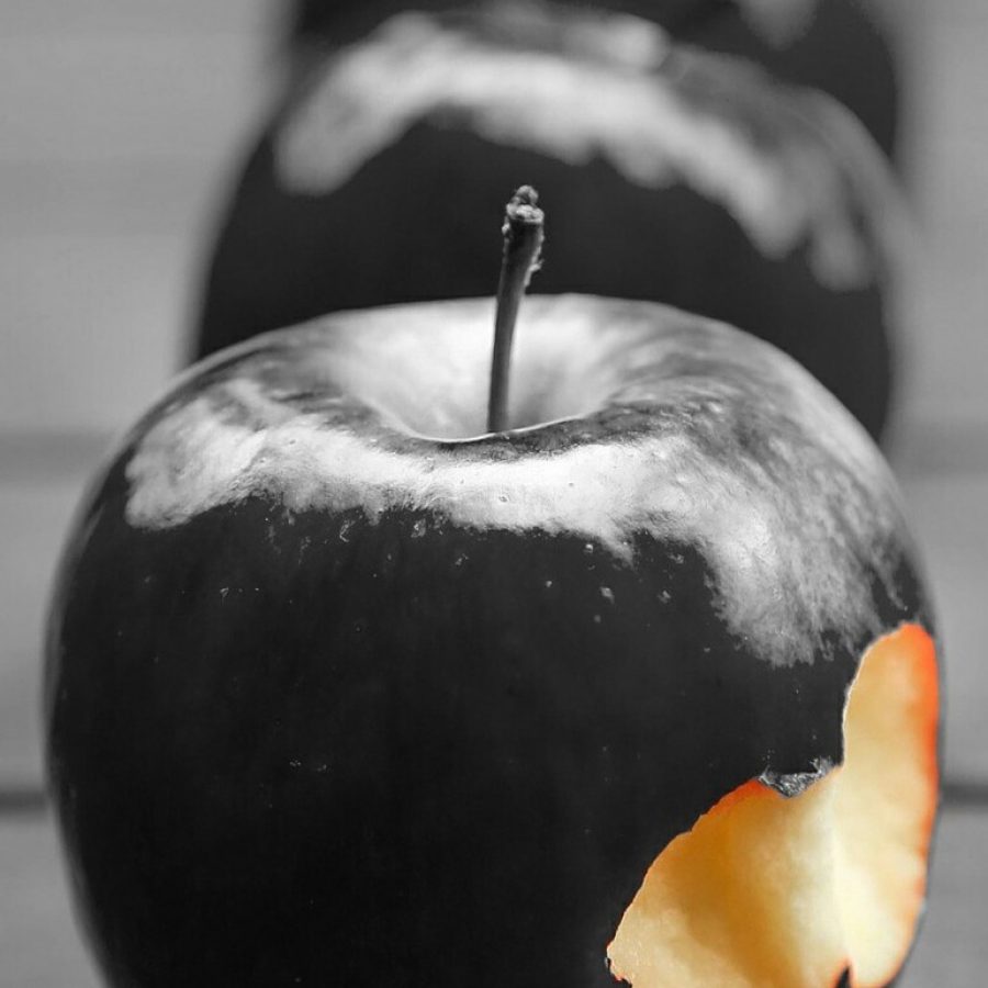 Why This Is Eve’s&nbsp;Fault