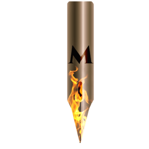 Molotov Ink: One woman’s explosive&nbsp;tale