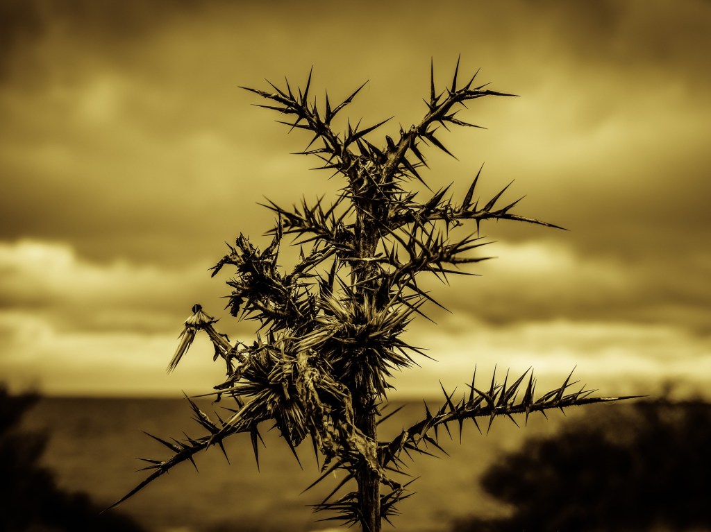 You Need Our&nbsp;Dark