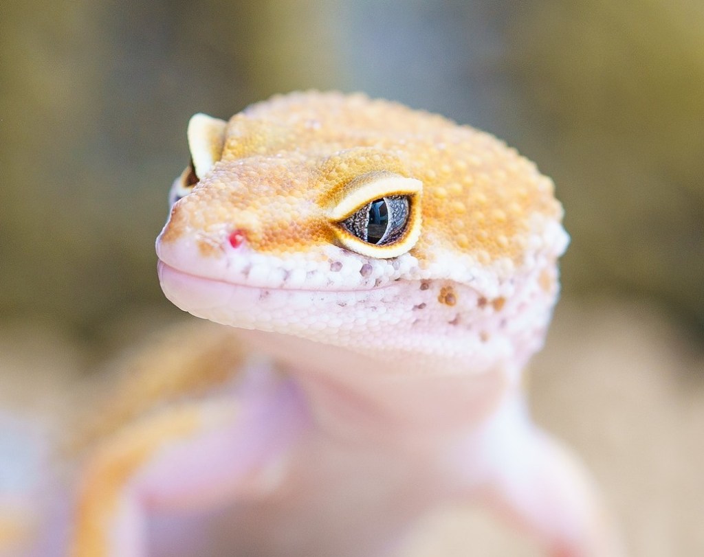 All Your Thoughts Are Belong to&nbsp;Us