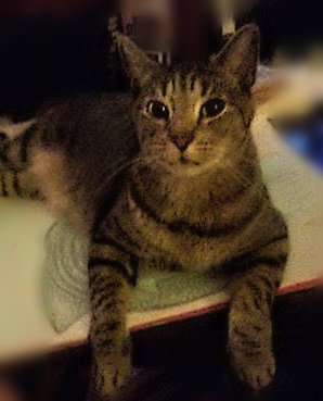 There was this time…(pt.&nbsp;10)